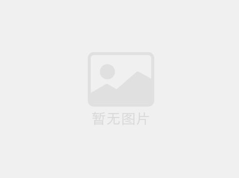 关税变局下的坚守与突破：专注自身，韧性前行