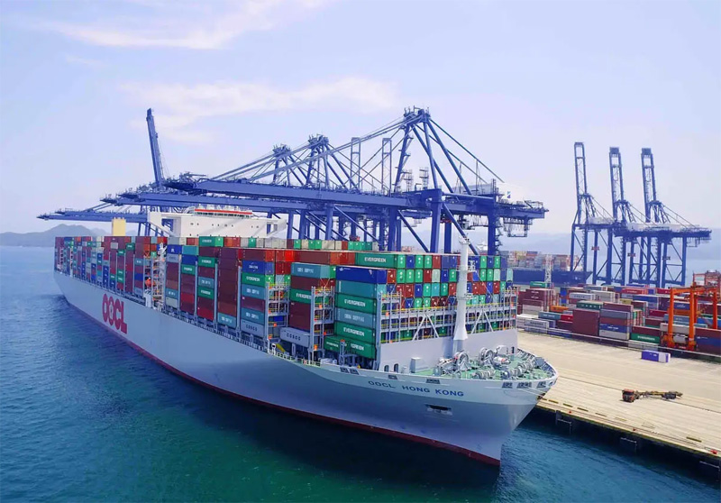 简化文件和手续：减少海运退运费用的秘诀是什么？